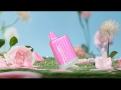 Drala 600/800のパフ使い捨て可能なVapeはフルーツの味EのタバコVapeをペンで書く